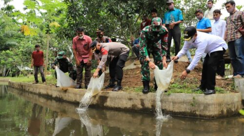 Peringati HUT Ke 76, TNI Bantu Bibit Ikan Liputan 6 SCTV Aceh