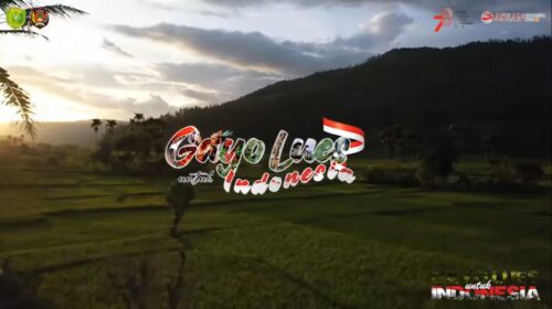 Gayo Lues Untuk Indonesia