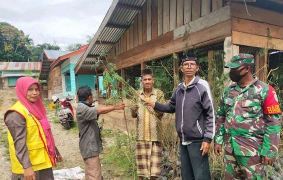 Babinsa Desa Kute Bukit Bersama PPL Mendampingi Kelompok Tani kopi