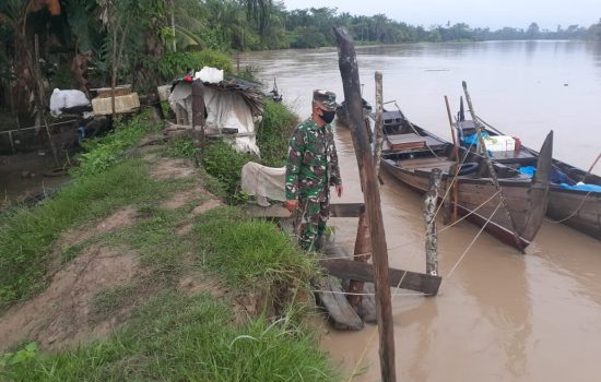 Waspadai Banjir Akibat Curah Hujan Tinggi, Babinsa Teluk Halban Pantau Tanggul Sungai