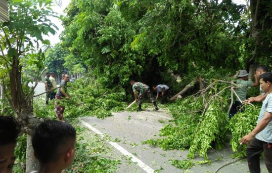 Babinsa Dan Warga Berjibaku Membersihkan Pohon Tumbang Yang Menutup Jalan