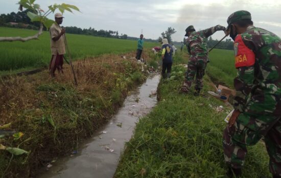 TNI Dan Masyarakat Gotong-Royong Bersihkan Irigasi Sawah