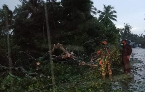 TNI POLRI Gerak Cepat Bantu Evakuasi Rumah Warga Yang Tertimpa Pohon