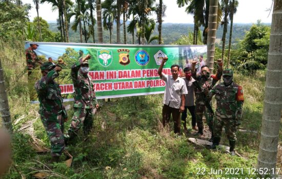 Kodim 0103/Aceh Utara Manfaatkan EKS Ladang Ganja di Wilayah Teritorialnya