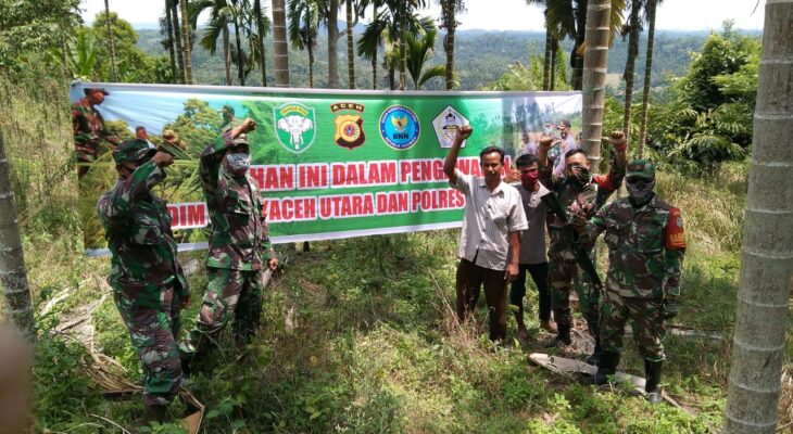 Kodim 0103/Aceh Utara Manfaatkan EKS Ladang Ganja di Wilayah Teritorialnya