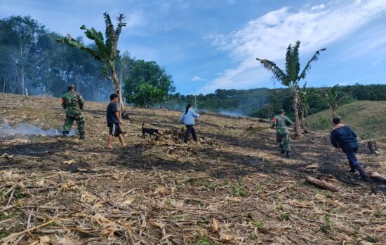 TNI Bersama Warga Berjibaku Padamkan Api di Desa Naga Timbul