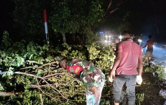 Babinsa Dan BPBD Aceh Tamiang Bersama Warga Bersihkan Pohon Tumbang