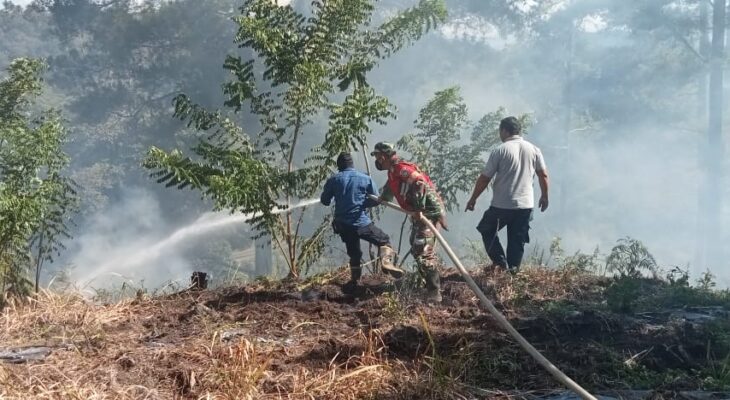 TNI dan Damkar Berjibaku Padamkan Karhutla 4 Hektar di Bener Meriah
