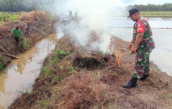 Babinsa Koramil 08/Gandapura Bantu Warga Bersihkan Saluran Air di Sawah