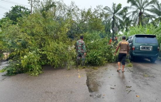 Babinsa Bersama Warga Berjibaku Evakuasi Pohon Tumbang