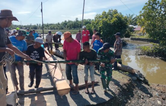 Babinsa Kembang Tanjong Bersama Warga Gotong Royong Bangun Jembatan Darurat Pasca Banjir
