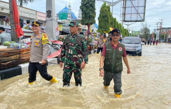 Danrem 011/LW Tinjau Banjir Aceh Utara, Kerahkan Personel Pantau dan Bantu Warga